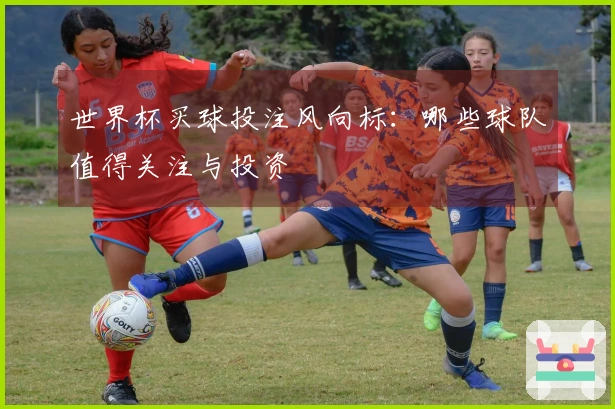 世界杯买球投注风向标：哪些球队值得关注与投资