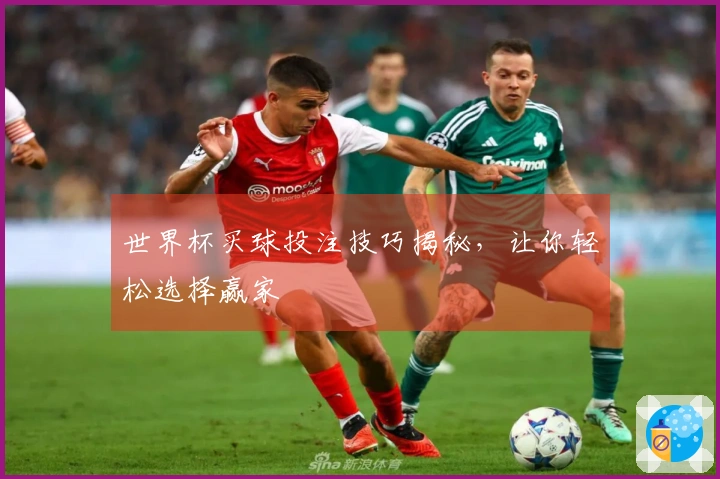 世界杯买球投注技巧揭秘，让你轻松选择赢家