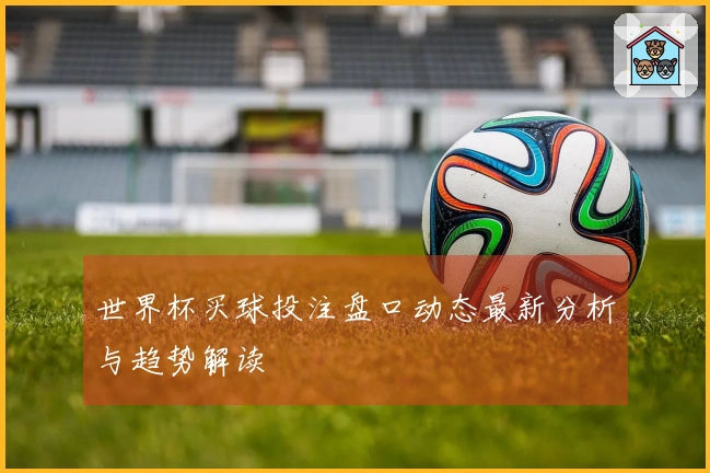 世界杯买球投注盘口动态最新分析与趋势解读