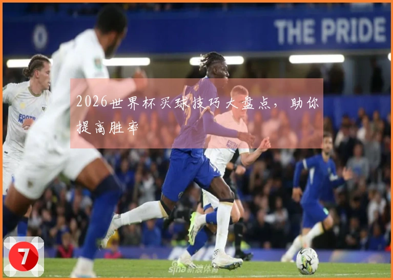 2026世界杯买球技巧大盘点，助你提高胜率