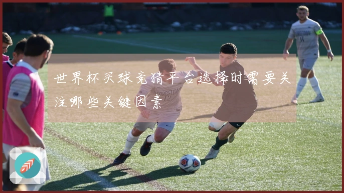 世界杯买球竞猜平台选择时需要关注哪些关键因素