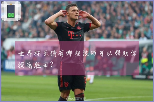 世界杯竞猜有哪些技巧可以帮助你提高胜率？