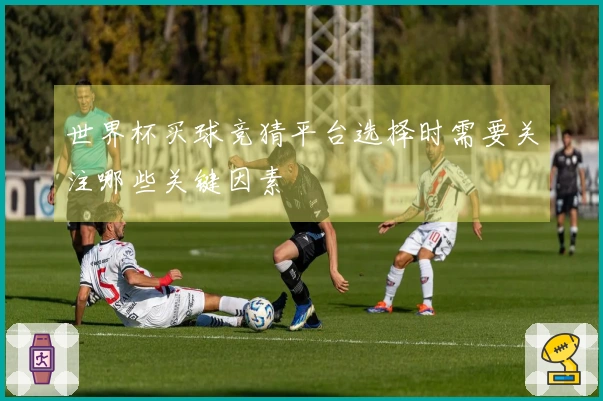 世界杯买球竞猜平台选择时需要关注哪些关键因素