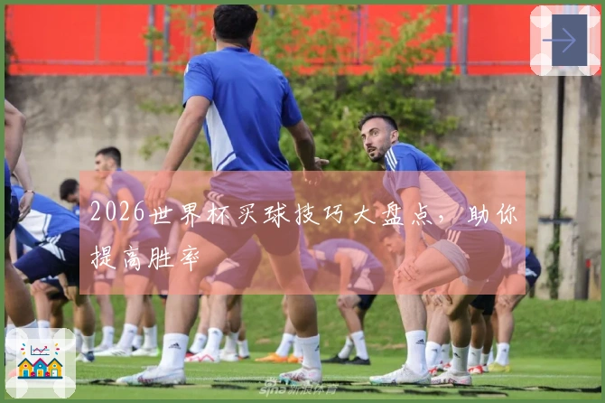 2026世界杯买球技巧大盘点，助你提高胜率